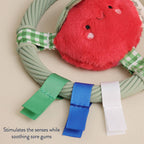 Teething Ring with Plush Character