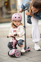 Scoot and Ride Highwaykick 1 Push N Go Mixed Case