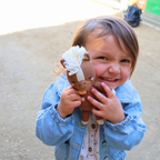 Baby Horse Toy