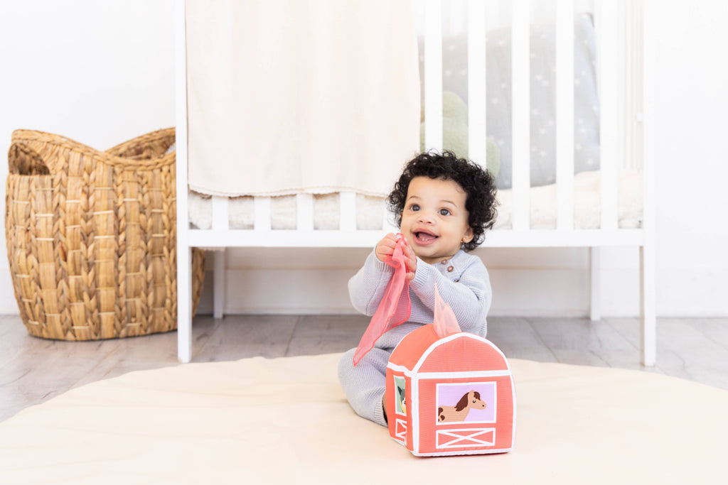 Learning kit (6-12month)