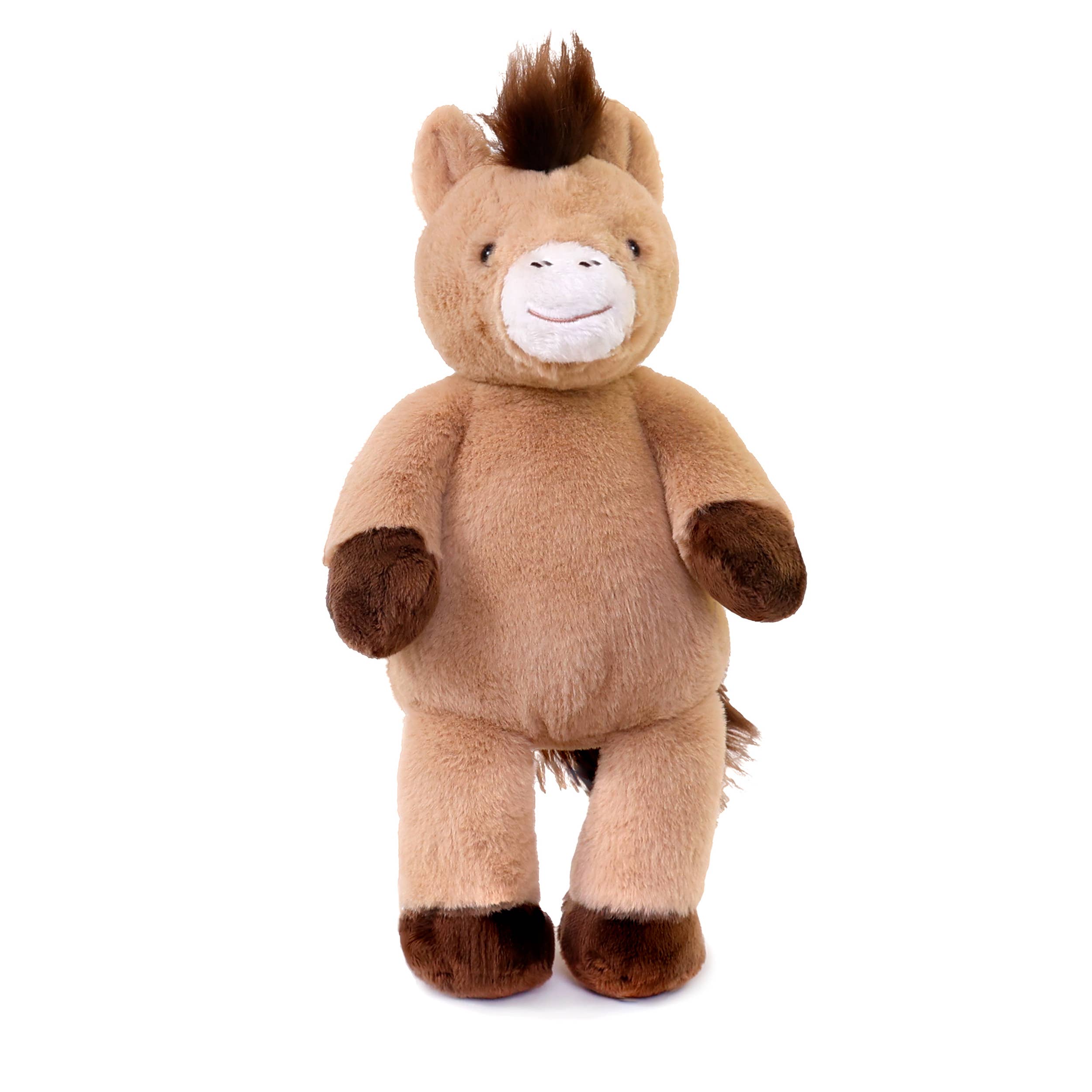 Dusty Pony