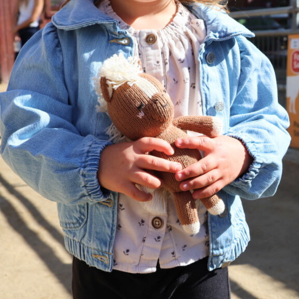 Baby Horse Toy