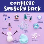 Sensory Pack Winter and Holiday Play Kit for Children
