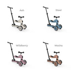 Scoot and Ride Highwaykick 1 Push N Go Mixed Case