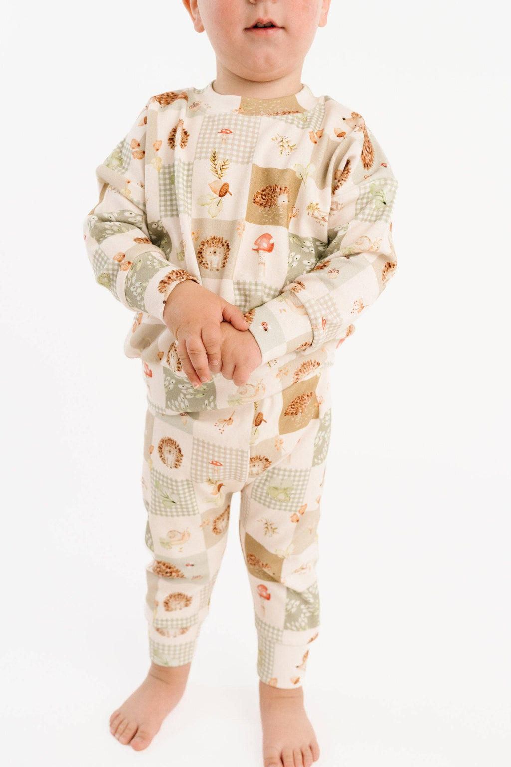 Hedgehog Patchwork Crewneck Set