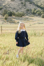 Navy Peter Pan Collar Pleated Skirt Set