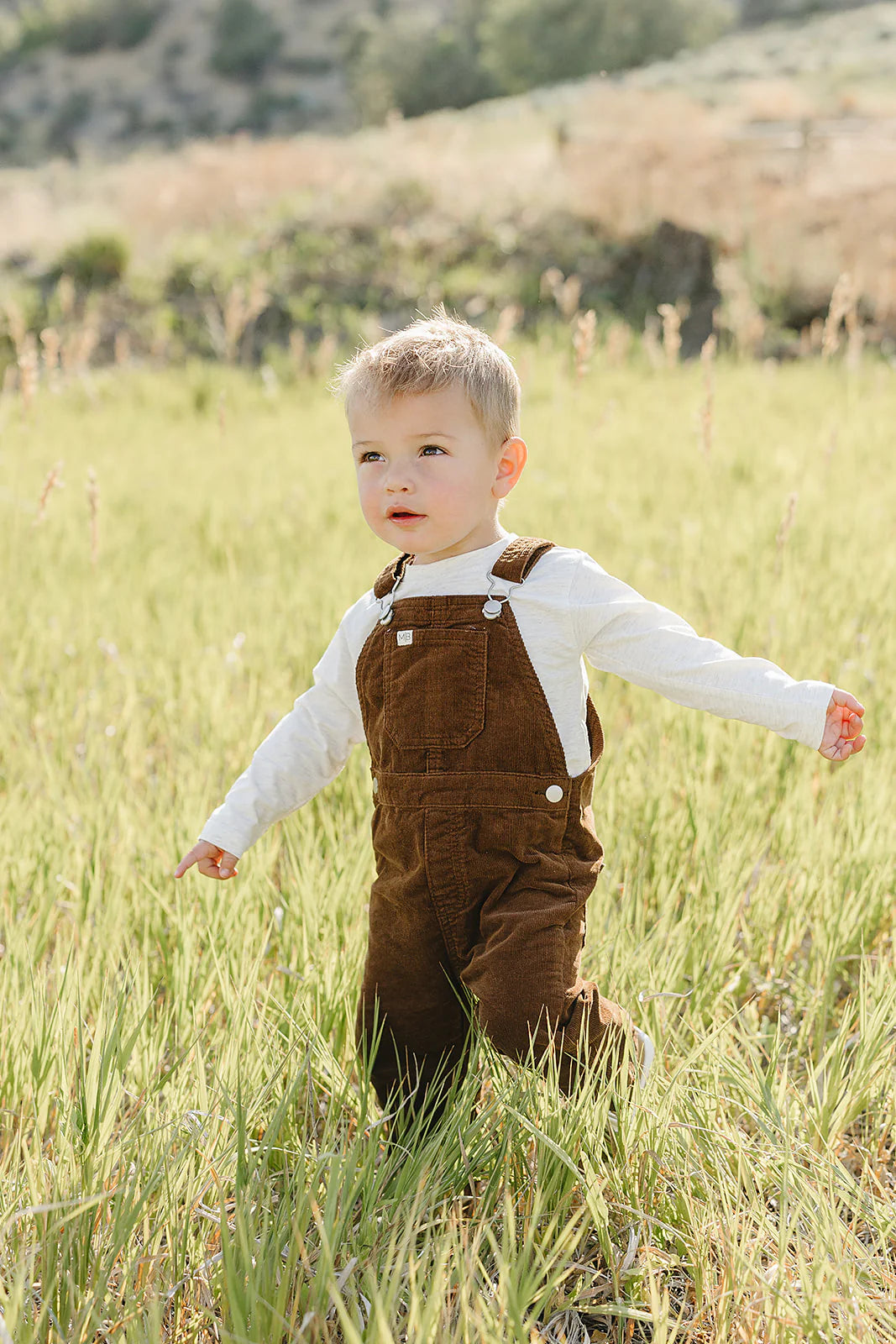 Brown Corduroy Dress