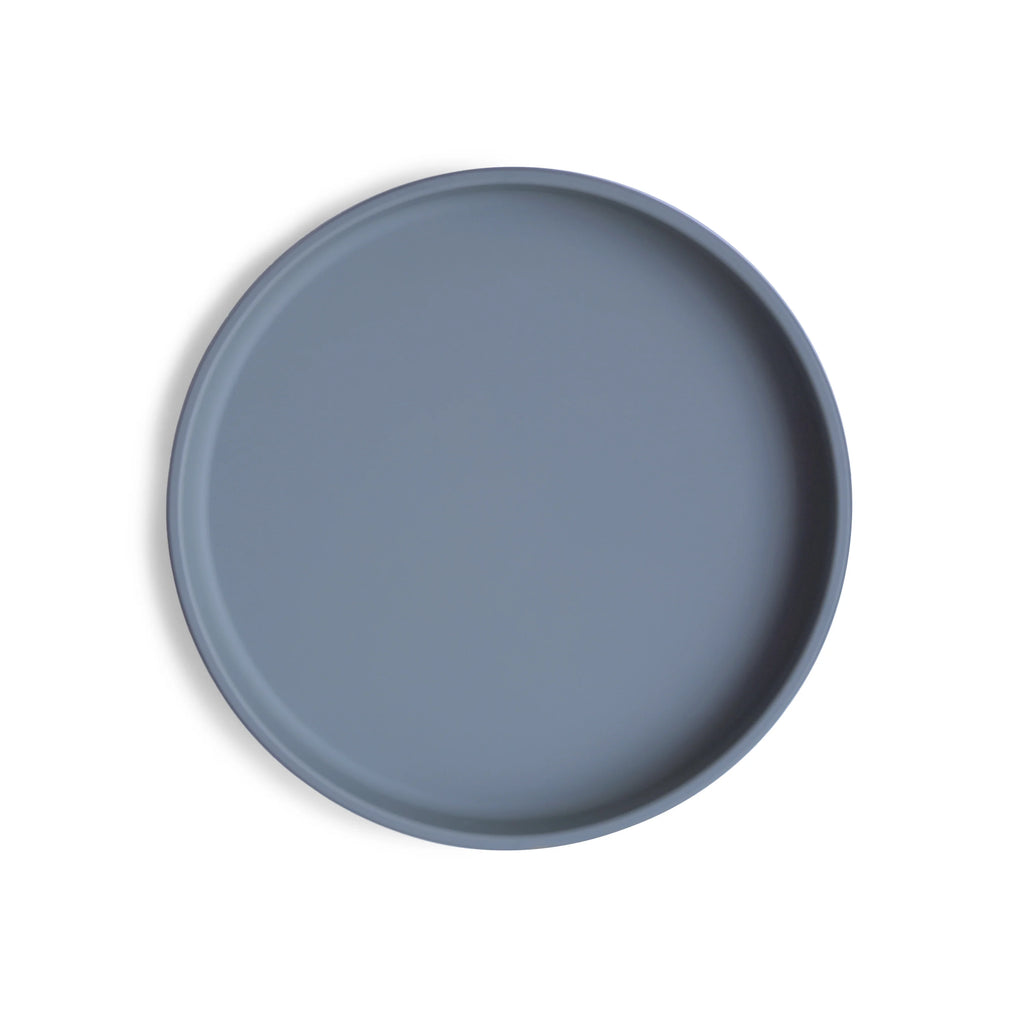 Classic Silicone Suction Plate