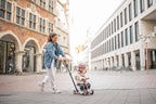 Scoot and Ride Highwaykick 1 Push N Go Mixed Case