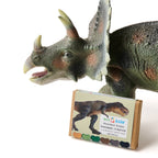Beeswax Crayons - Dinosaur Bone - 6 Eco-Friendly Colors