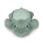 Little Tyler Turtle Soft Toy 7.8"