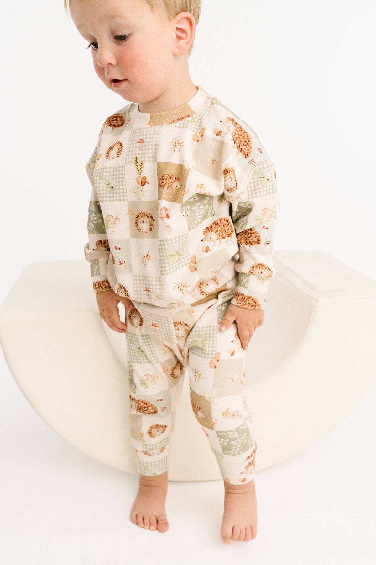 Hedgehog Patchwork Crewneck Set