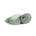 Little Tyler Turtle Soft Toy 7.8"