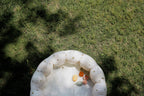 Animal Mold Free Silicone Bath Toy Set 