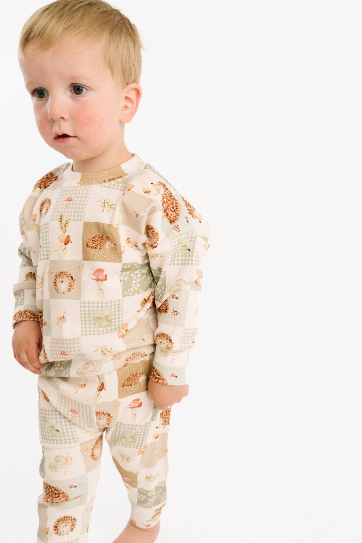 Hedgehog Patchwork Crewneck Set