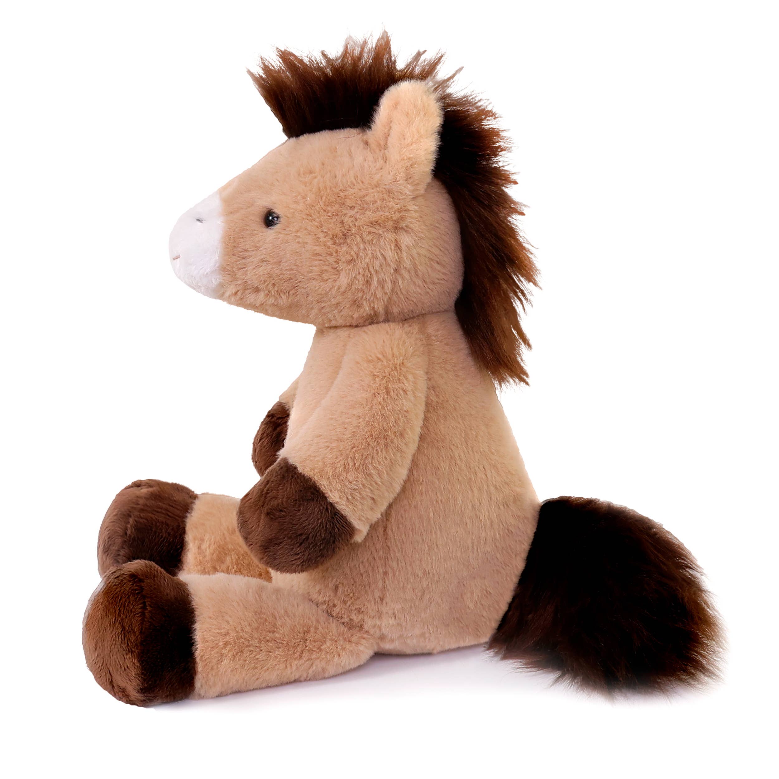 Dusty Pony