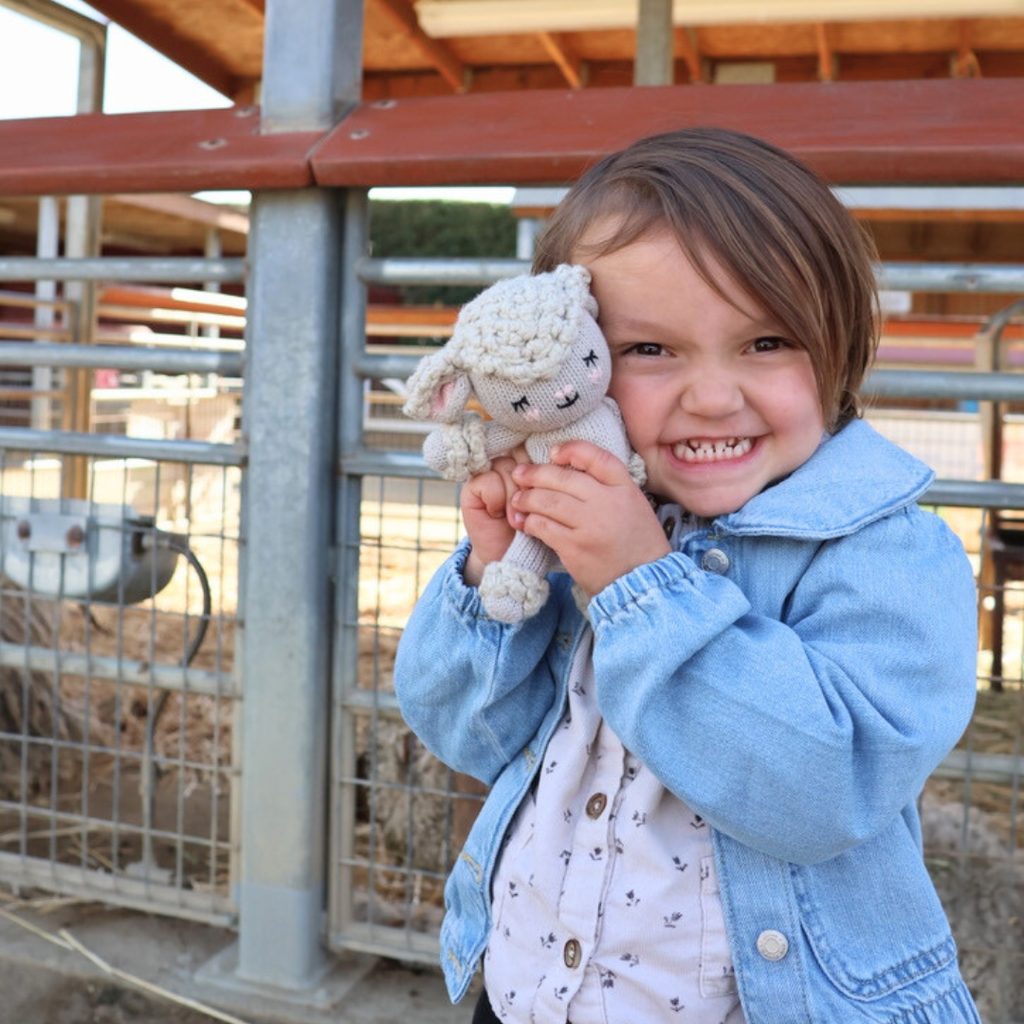Baby Sheep Toy