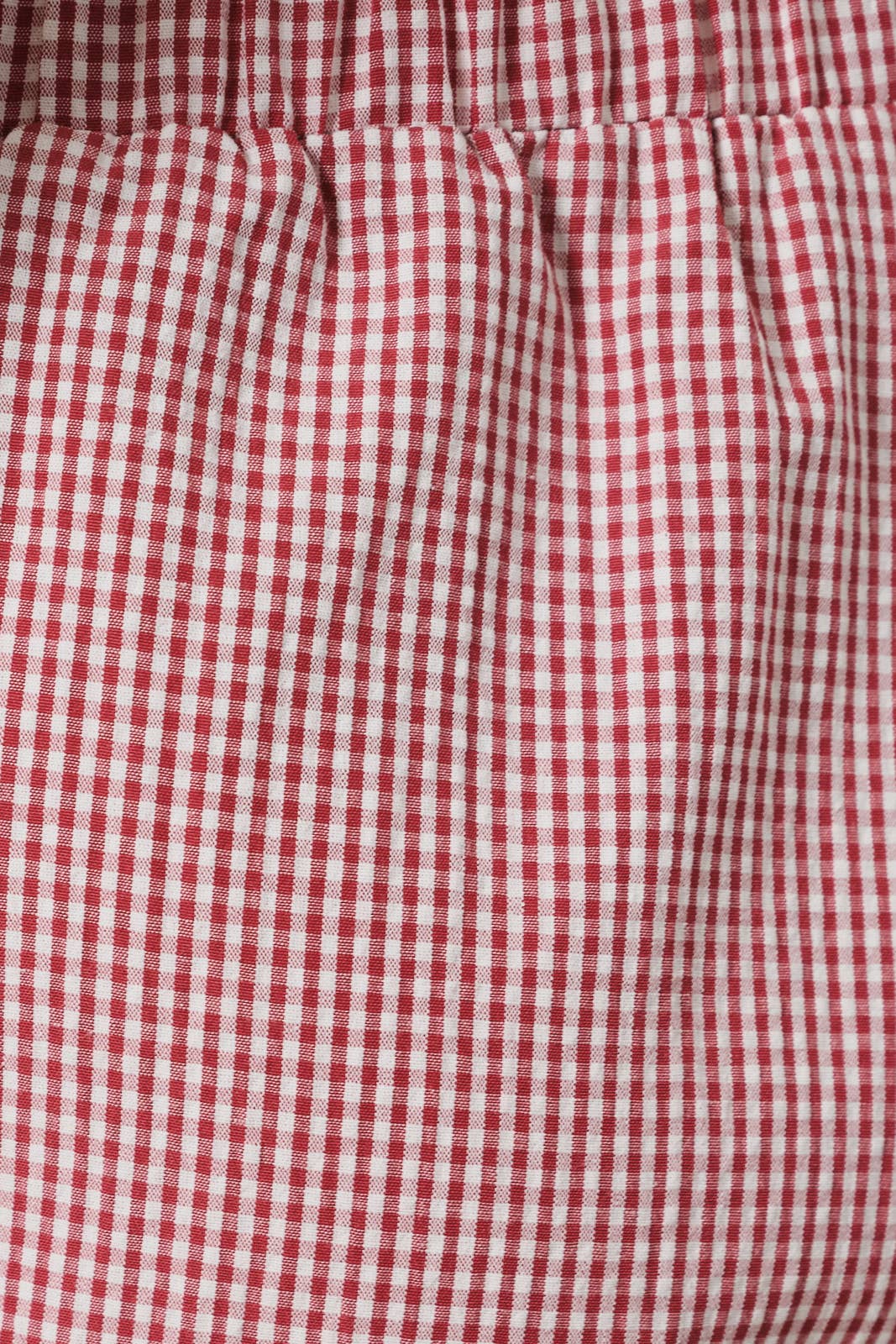 RUFFLE GINGHAM DOLPHIN SHORTS (multiple colors)