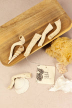 Sea Salt Surf Car Freshener