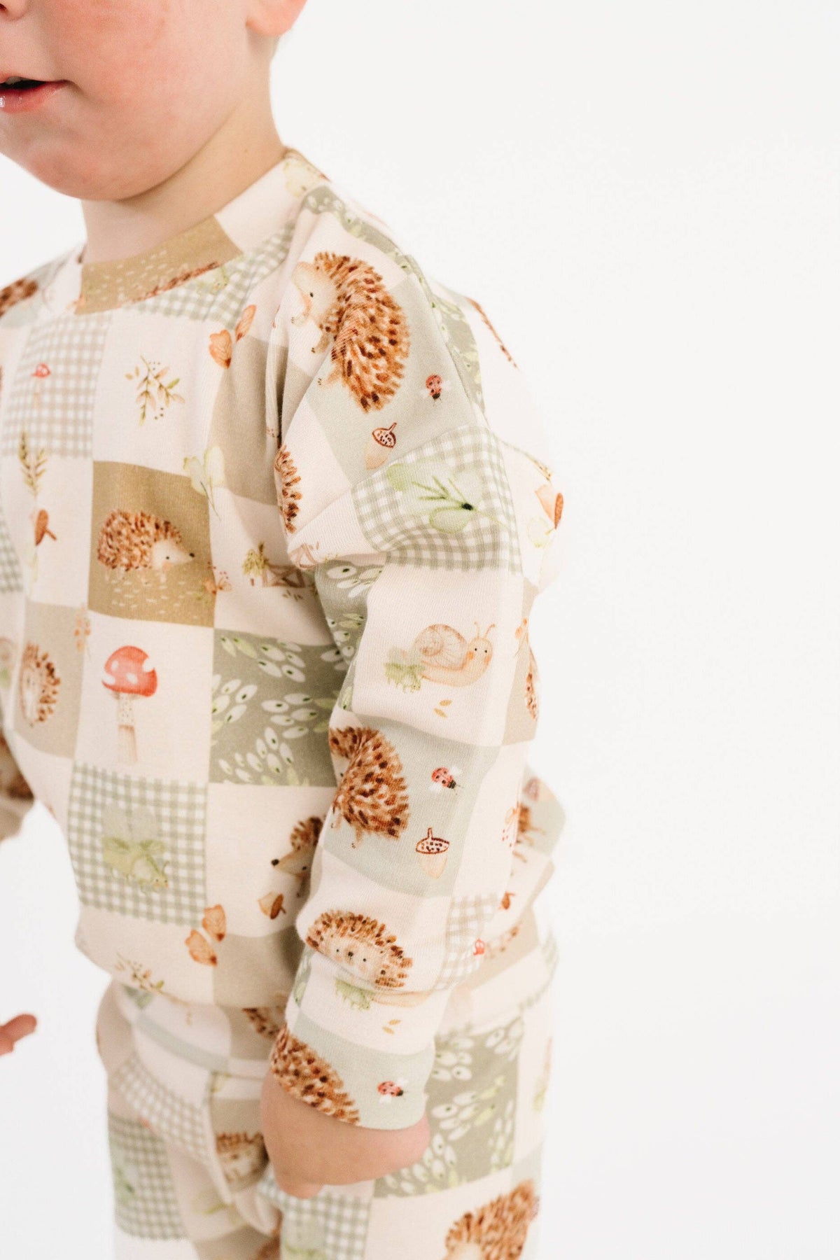 Hedgehog Patchwork Crewneck Set