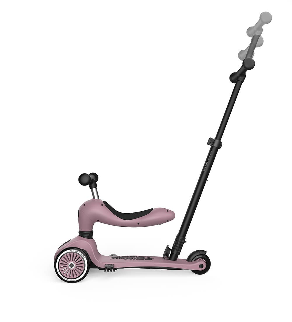 Scoot and Ride Highwaykick 1 Push N Go Mixed Case