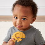 Sweetie Shake Plus- Teething + Rattle Toy